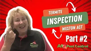 Weston ACT has termites! Don&rsquo;t Worry A1 Pest Control Canberra Has You Covered Part 2