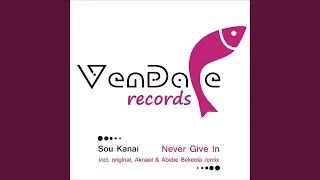 Never Give In (Aknael & Abebe Bekeela Remix)