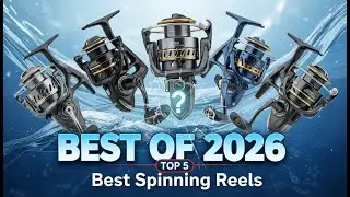 Top 5 Best Spinning Reels in 2026 (Freshwater & Saltwater)