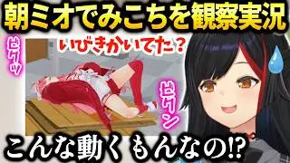 ミオしゃ朝ミオの始まりから終わりまでみこち寝てる件【大神ミオ/ホロライブ】