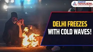 Delhi Weather Forecast: Nation's Capital Faces Cold Wave and Dense Fog; IMD Alerts