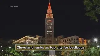 Cleveland ranked America's most bed bug-infested city
