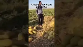 complete watch these video hahaha to much funny #funny #tomuchfun #shorts #shortfeed