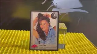 1994 Bench Warmer Cards