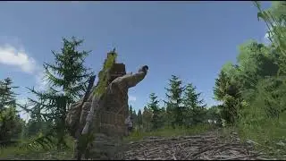 Playing fetch with bear in DayZ