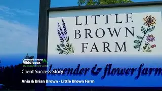Client Success Story | Little Brown Farm