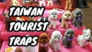 TAIPEI TOURIST TRAPS - Secret Starbucks, Modern Toilet, Street Food, Night Markets & Crane Machines!