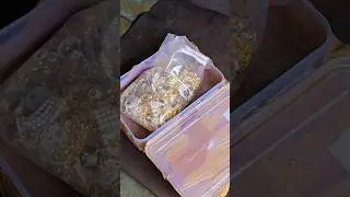 2.5 KG 99.99% fine GOLD Refined from gold jewelry #goldbar #goldjewelry #shortvideo #shorts