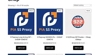 VERY CHEAP: New site to buy piaproxy & 922Proxy (PROXY.THEPRICE.COM.NG