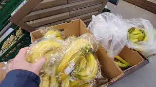 Purchases in Hulst Action , Aldi and AH Zeeland Netherlands