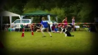 Ofici&aacute;lne agility preteky Jaklovce 2010.wmv
