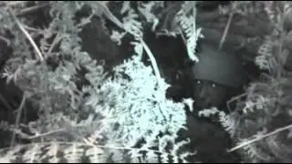 Royal Marines Observation Posts