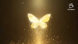 my new intro