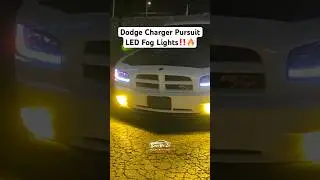 Lasfit Switchback LED Fog Light Bulbs!