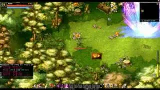 Arien Rebirth skill
