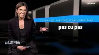 Techtips | Secretele Algoritmilor Social Media: Cum Funcționează?
