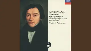 Schumann: Fantasie in C, Op. 17: 2. M&auml;&szlig;ig. Durchaus energisch - Etwas langsamer - Vielbewegter