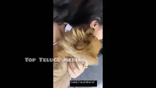 Payal Rajput Playing with His Dog | Top Telugu Media