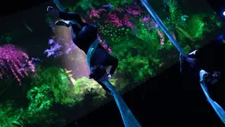 Aerial Silks - Splendor 'Silk Washing' act by Dragone