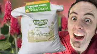 Best Clover Seed? | American Meadows Crimson Clover Unboxing