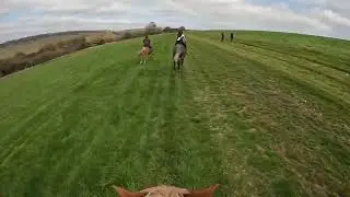 Speedy 