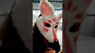 new mask! vry limited materials, but I learned a lot! #therian #theriangear #therianmask #animalmask