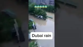 dubai flood #dubai #viral #viralvideo #video #emirates #flood #