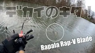 NEWルアー ラパラ Rap-V Blade試してたらデカイの来た！！| Huerco FF600-5C | パックロッド |