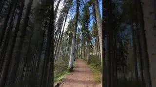 Powerfly+ at Kielder Forest