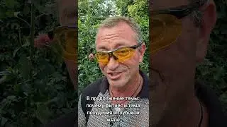 В продолжение темы: почему фитнес и тема похудения в глубокой ж#пе #ответы_на_вопросы #похудение