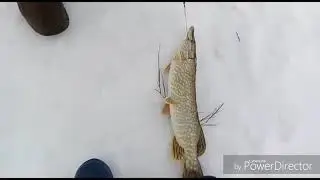 о. Есей март 2018