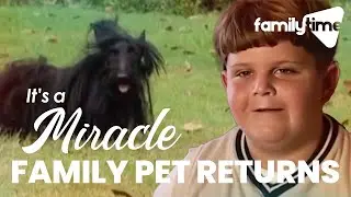 Dog Returns After 2 Years! | It's A Miracle