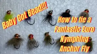 How To Tie Euro Nymphing Anchor Fly - for Beginners - 