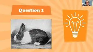 Cartoons and Crustaceans | Family Trivia with the Berkshire Museum