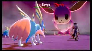 Shiny Eevee Capture