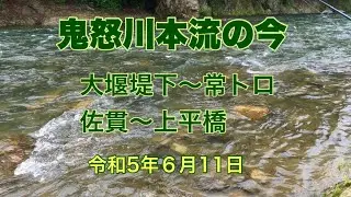 【雨の上流部から下流へあちこち覗いて見た】鬼怒川のルアーフィッシング