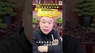 作妖的小姑子