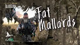 Duck Hunting FAT Mallards | Riding the Hole | Black Cloud