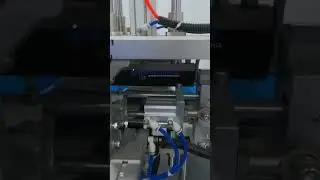 Customised Horizontal Bagging Machine for Non-food Industry #baggingmachine #automaticpackaging