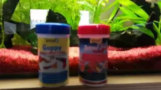 Tetra Colour Mini Flakes Guppy Futter