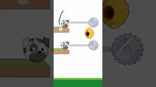 Bee and Iron Saw was attacked Dog 🐕 #animals #dog #puppy #doggie #pet #pet