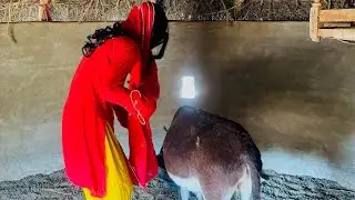 Such an Innocent Moment 🥹 Girl and Donkey Bond