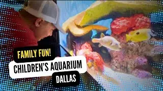 Children’s Aquarium Dallas – Hands-On Fun and Cheap Things to Do with Kids in North Texas!