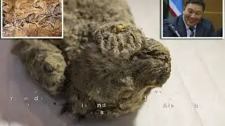 Two ancient cave lion cubs found frozen in Siberia