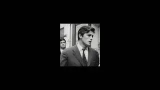 dragostea din tei best part (slowed + reverb)