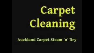 Pest Control Auckland