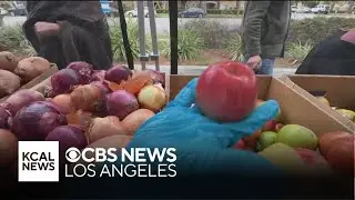 How Nourish L.A. is helping families get healthy food for free