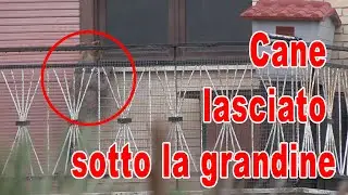 L’INSENSIBILITA’ E L’ASSENZA DELLE ISTITUZIONI 