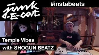 junk-E-cat #instabeats  - Temple Vibes
