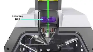 The MagLab&rsquo;s Scanning Electron Microscope